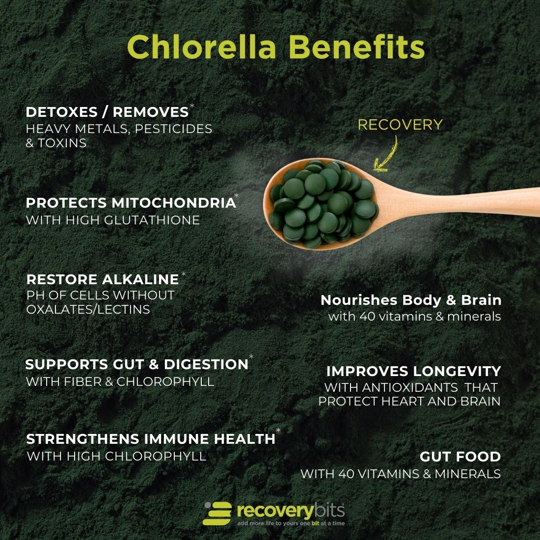 RECOVERYbits® Chlorella | Pacote Grande